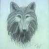 Night Eyes - Pencil  Paper Drawings - By John Barnes, Realism Drawing Artist