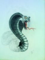 Snake Eyes - Pastel Drawings - By John Barnes, Fantasy Drawing Artist
