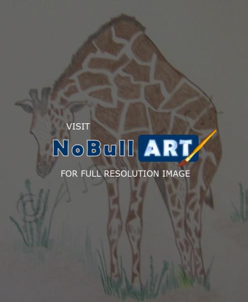 Animals - Hungry Giraffe - Colored Pencil