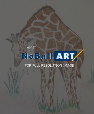 Animals - Hungry Giraffe - Colored Pencil
