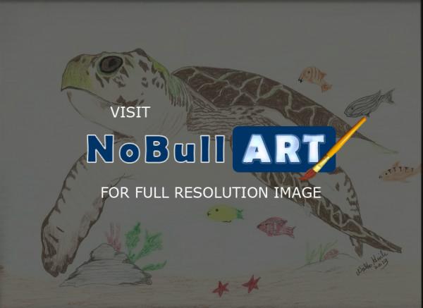 Animals - Loggerhead Turtle - Colored Pencil