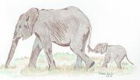 Animals - Female Elephant With Calf - Colored Pencil