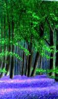 English Blue Bells Forest - Acrylic On Gallery Canvas Paintings - By Marie-Line Vasseur, Realism Painting Artist