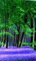 English Blue Bells Forest - Acrylic On Gallery Canvas Paintings - By Marie-Line Vasseur, Realism Painting Artist