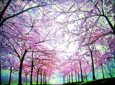 2014 - Cherry Trees Lane 2 - Acrylic On Gallery Canvas