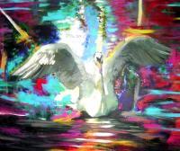 Swan Abstract - Acrylic On Gallery Canvas Paintings - By Marie-Line Vasseur, Abstractfigurative Painting Artist