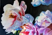 Dragonfly S Peonies - Acrylic On Gallery Canvas Paintings - By Marie-Line Vasseur, Realism Painting Artist
