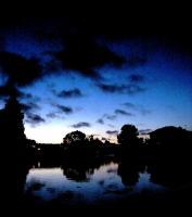 Shadow And Swamps - Digital Photography - By Chiang Pinkney, Nature Photography Artist