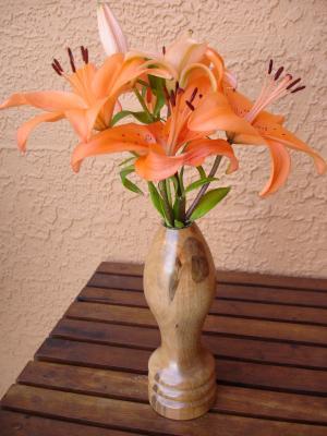 Bud Vases - Ambrosia Maple Bud Vase - Wood