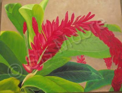 Floral - Red Beauty - Oil On Canvas