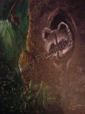 Animals Birds - Peek A Boo - Acrylic