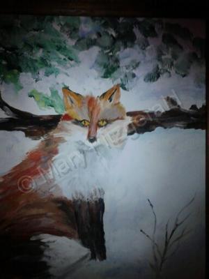 Animals Birds - Foxy - Acrylic