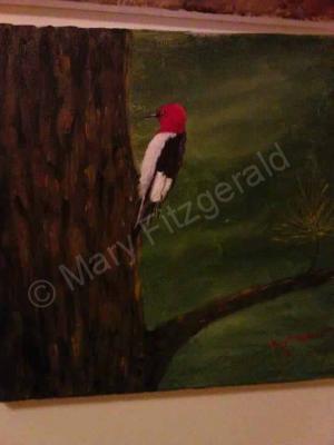 Animals Birds - Woody - Acrylic