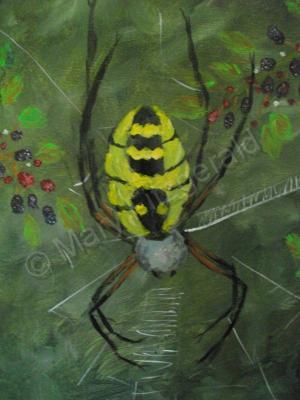 Animals Birds - Garden Spider Amoung The Berries - Acrylic