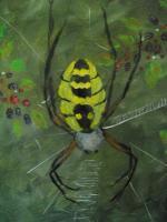 Animals Birds - Garden Spider Amoung The Berries - Acrylic