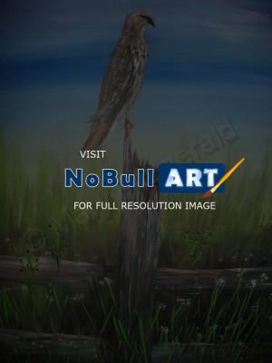 Animals Birds - Watchful Eye - Acrylic