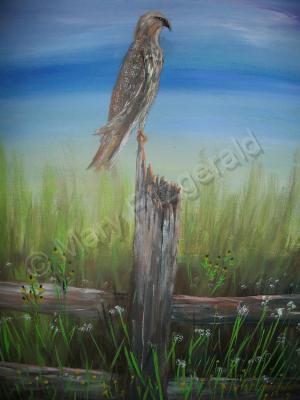 Animals Birds - Watchful Eye - Acrylic