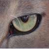 Stalking - Acrylic Paintings - By Diane Deason, Realistic Painting Artist