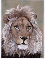 The Lion Of Judah - Acrylic Paintings - By Diane Deason, Realistic Painting Artist