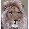 The Lion Of Judah - Acrylic Paintings - By Diane Deason, Realistic Painting Artist