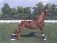 Second Place Winner - Acrylic Paintings - By Diane Deason, Realistic Painting Artist