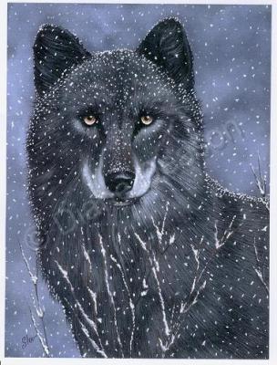 Naturewildlife - Into The Cold - Acrylic