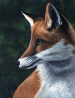 Master Of The Hunt - Acrylic Paintings - By Diane Deason, Realistic Painting Artist
