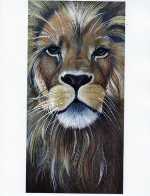 Naturewildlife - Cameron The Regal - Acrylic