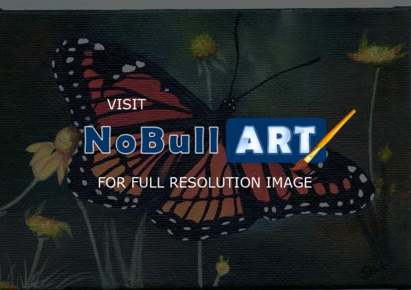 Naturewildlife - Fragile Wings - Acrylic
