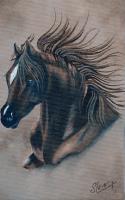 Wild As The Wind - Acrylic Paintings - By Diane Deason, Realistic Painting Artist