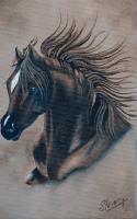 Wild As The Wind - Acrylic Paintings - By Diane Deason, Realistic Painting Artist