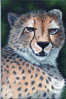 A Christmas Cheetah - Acrylic Paintings - By Diane Deason, Realistic Painting Artist