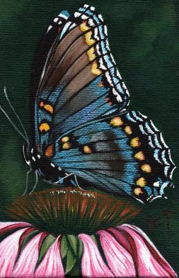 Naturewildlife - Fragile Wings 2 - Acrylic