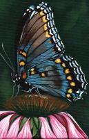 Fragile Wings 2 - Acrylic Paintings - By Diane Deason, Realistic Painting Artist