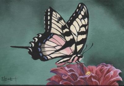 Naturewildlife - Fragile Wings 4 - Acrylic