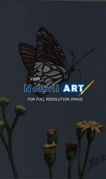 Naturewildlife - Fragile Wings 5 - Acrylic