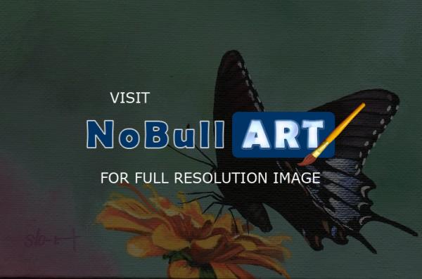 Naturewildlife - Fragile Wings 6 - Acrylic