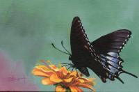 Fragile Wings 6 - Acrylic Paintings - By Diane Deason, Realistic Painting Artist