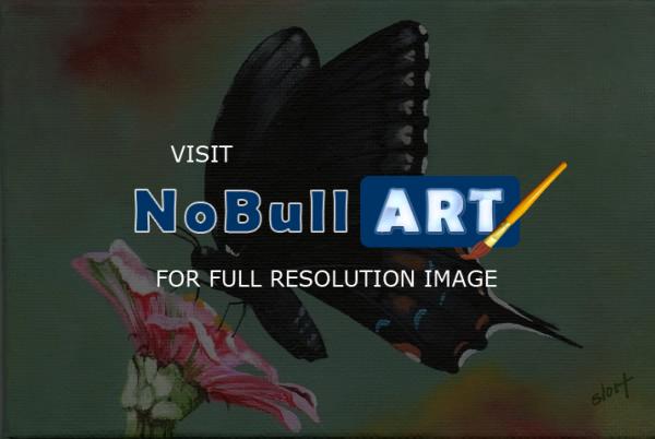 Naturewildlife - Fragile Wings 7 - Acrylic