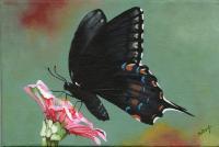 Fragile Wings 7 - Acrylic Paintings - By Diane Deason, Realistic Painting Artist