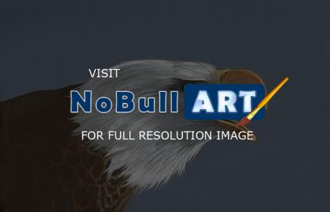 Naturewildlife - Borne On Eagles Wings - Acrylic