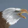 Borne On Eagles Wings - Acrylic Paintings - By Diane Deason, Realistic Painting Artist