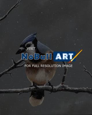 Naturewildlife - Blue Christmas - Acrylic