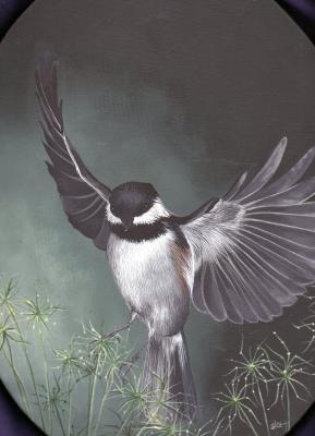 Naturewildlife - In The Shadow Of His Wings - Acrylic