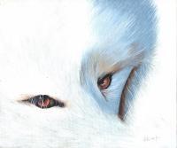 Arctic Fox - Acrylic Paintings - By Diane Deason, Realistic Painting Artist