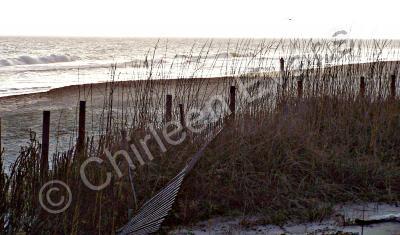 The Beach - Emerald Isle - Digital