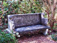 The Garden - Lonely Bench - Digital