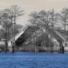 Steel Bridge - Digital Photography - By Chirleen Evans, Waterscapes Photography Artist