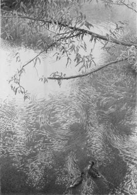 Drawing - Over Water - Graphite On Paper