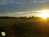 The Way That Light Attaches To The World Sliding By - Digital Photography Photography - By Everyday Zenster, Picturesque Photography Artist